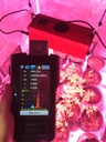 Spectral Light Meter SRI2000 UV Illuminance Spectrometer