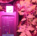 Spectral Light Meter SRI2000 UV Illuminance Spectrometer